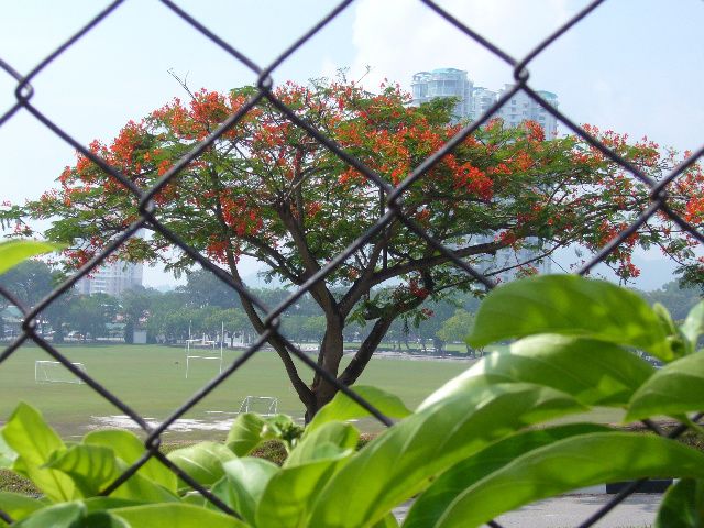 P1080788