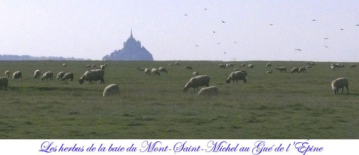 mont 2