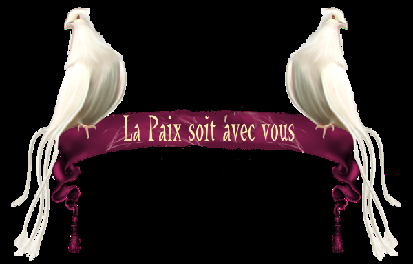 3808f6a6 - Copie