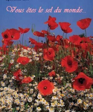 fleursfonds