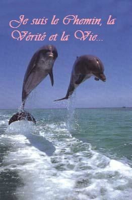 vendredi - Copie