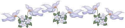 084eb68f