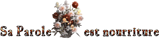 ebroov10