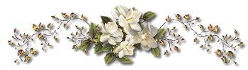 dafe7a86