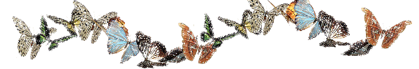 wqu1vi0u