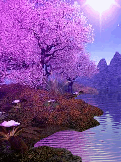 forum rencontre japon