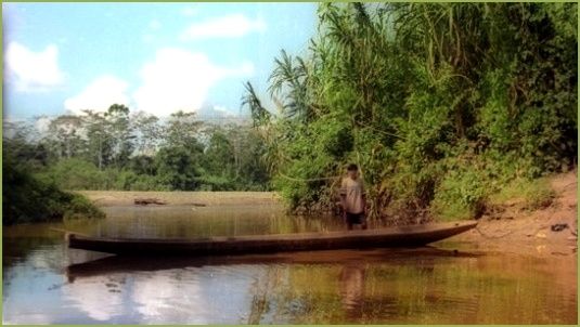 parque-tipnis-zona-yuqui.jpg