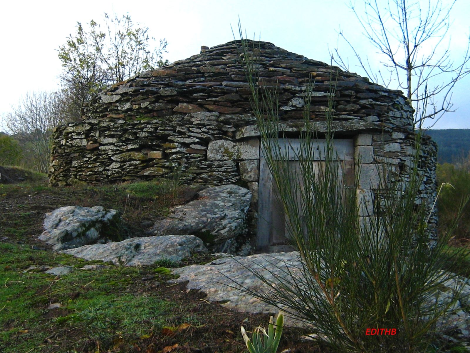 CAZELLE ENTRETENUE A CASTELNAU PEGAYROLS EN AVEYRON null