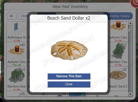 sandollars4