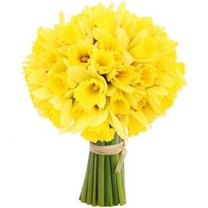 bouquet,de,fleurs,50,jonquilles,jaunes,bebloom