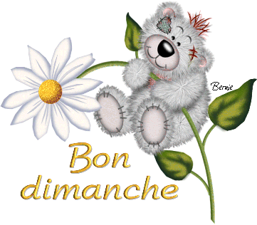 bon dimanche 131446