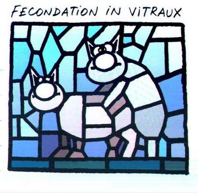 le-chat-fecondation-in-vitraux.jpg
