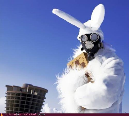 wtf_pics-gas-mask-bunny.jpg