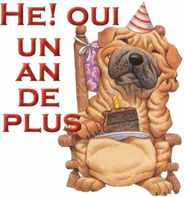 Hello - Page 4 Anniversaire1-an--