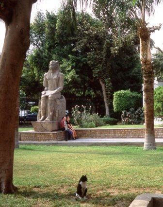 chat jardin du musée du Caire