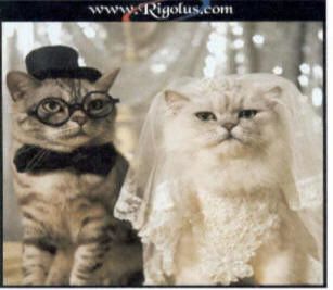 3199-Mariage.jpg