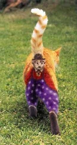 image00999
