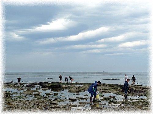 La pêche pokrovsky la ferme les rappels