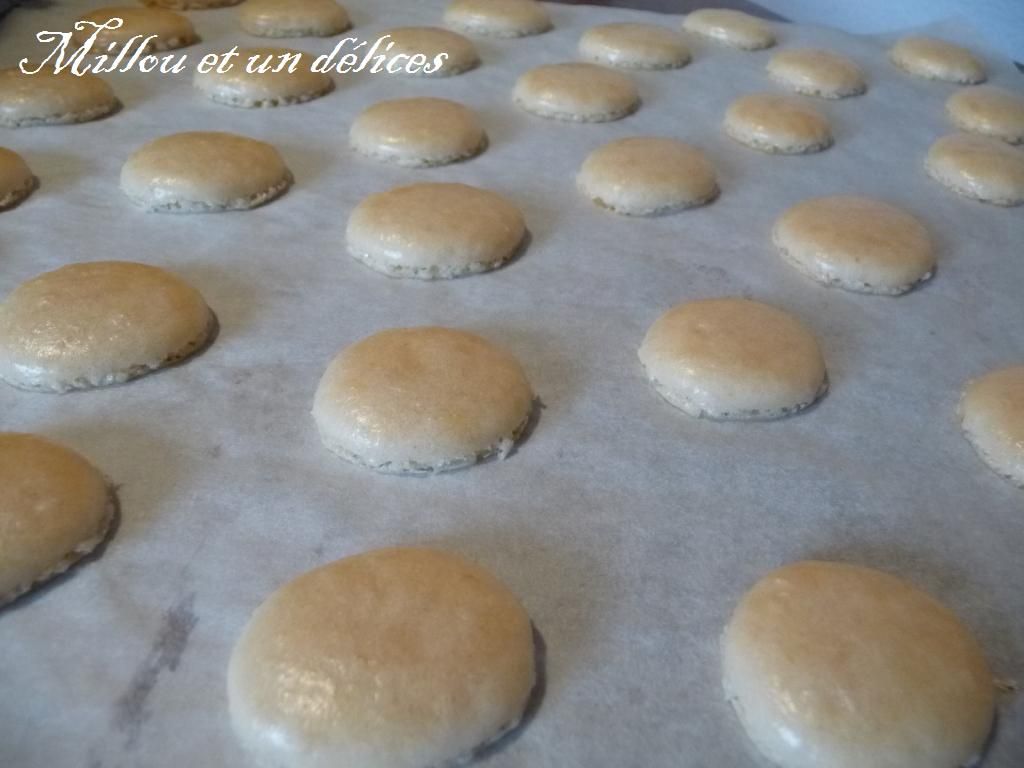 macarons aprés cuisson macarons aprés cuisson de millou et un delices