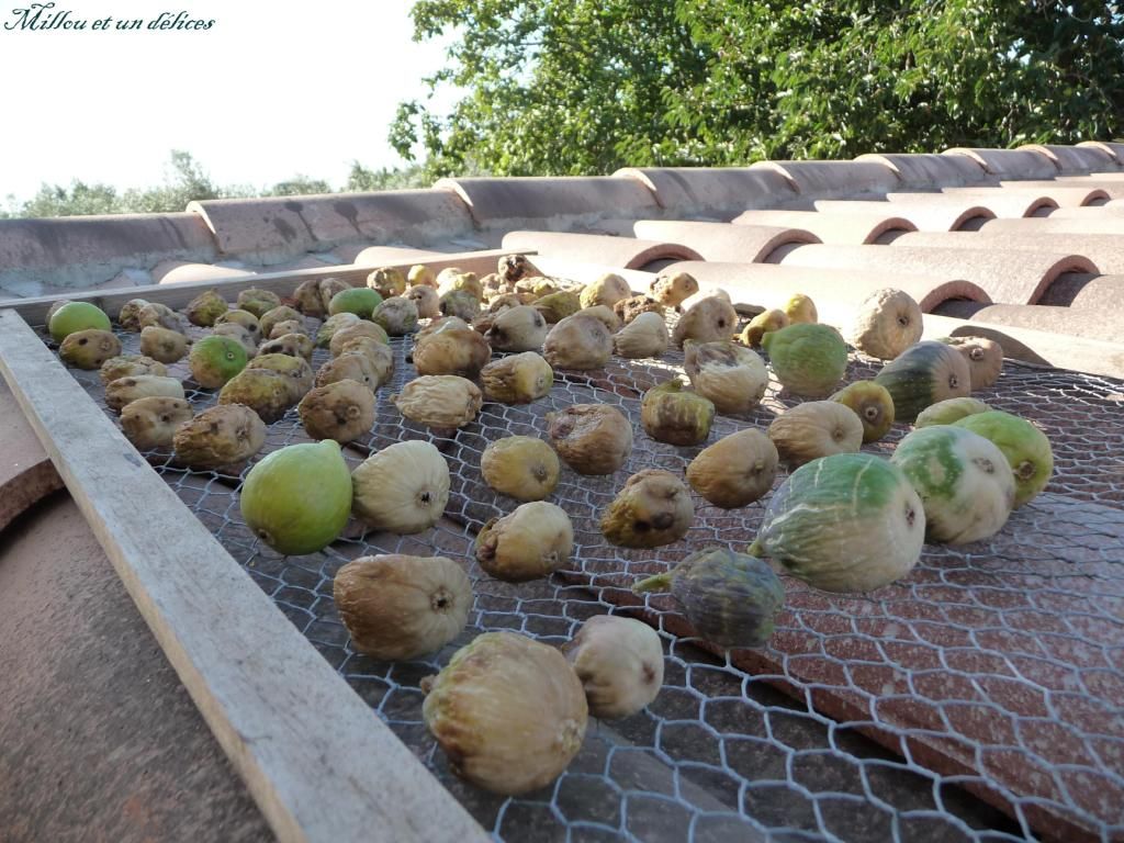 Comment faire sécher les figues ... - Millou et un délices