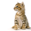 09elh3an.gif
