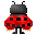 coccinelle