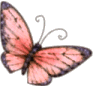 Butterfly1b2.gif