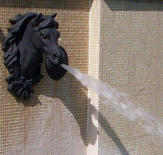 cheval-1.jpg