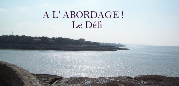 le-defi.jpg