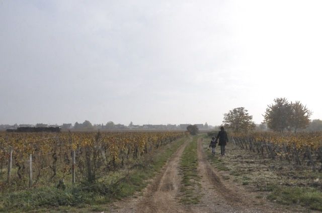 DSC5819