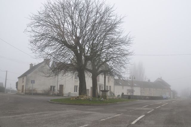 DSC6816-copie-1