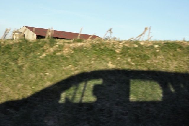 DSC2413