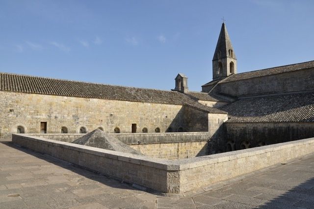 DSC7654