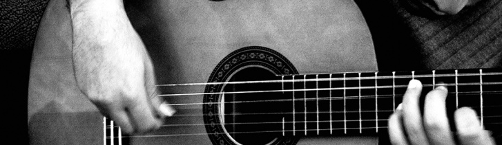 raving-squirrel-guitare.png