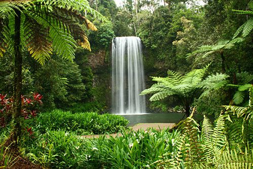 Milla-Milla-Falls---Queensland.jpg