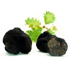 truffes_noires_fraiches_230.jpg