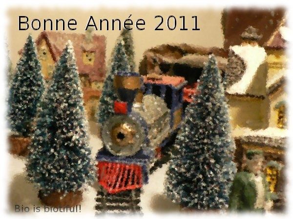 Bonne année 2011-2