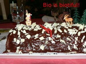 B_che_2008