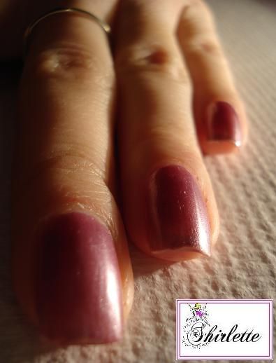 13-Vernis-reserve-naturelle-N23_3.jpg