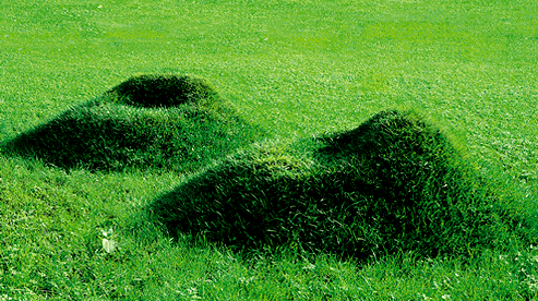 Fini le mobilier de jardin… faites pousser votre fauteuil en herbe ! - avec  MA planète !