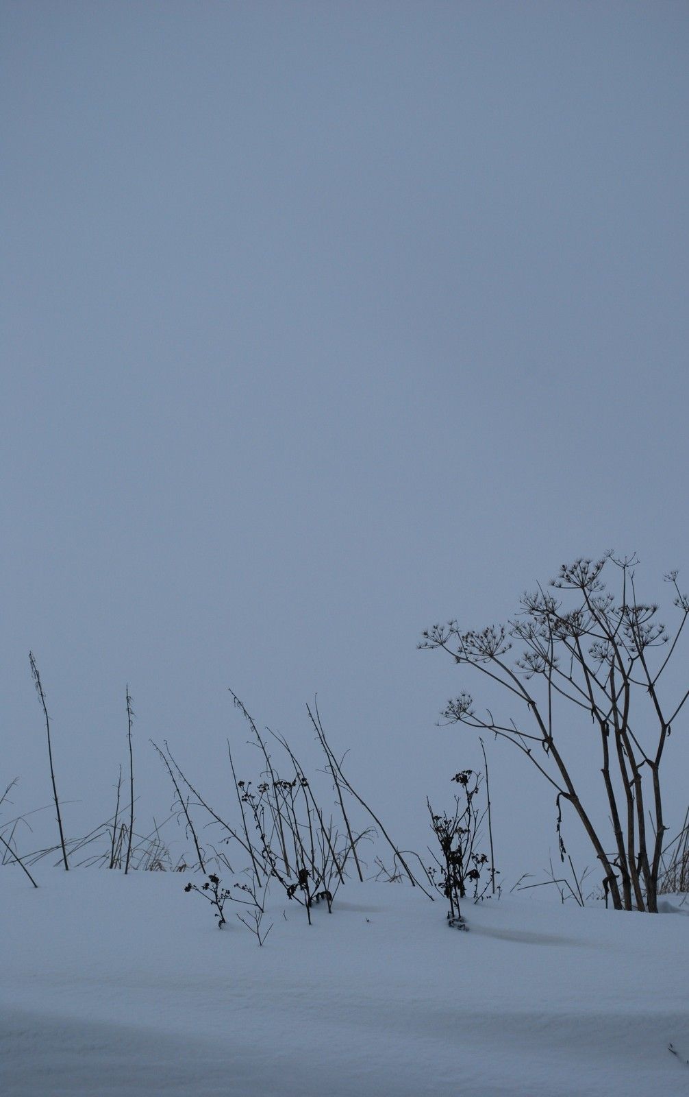neiges1