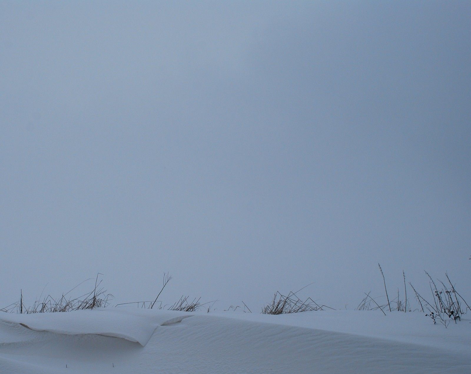 neiges2.JPG