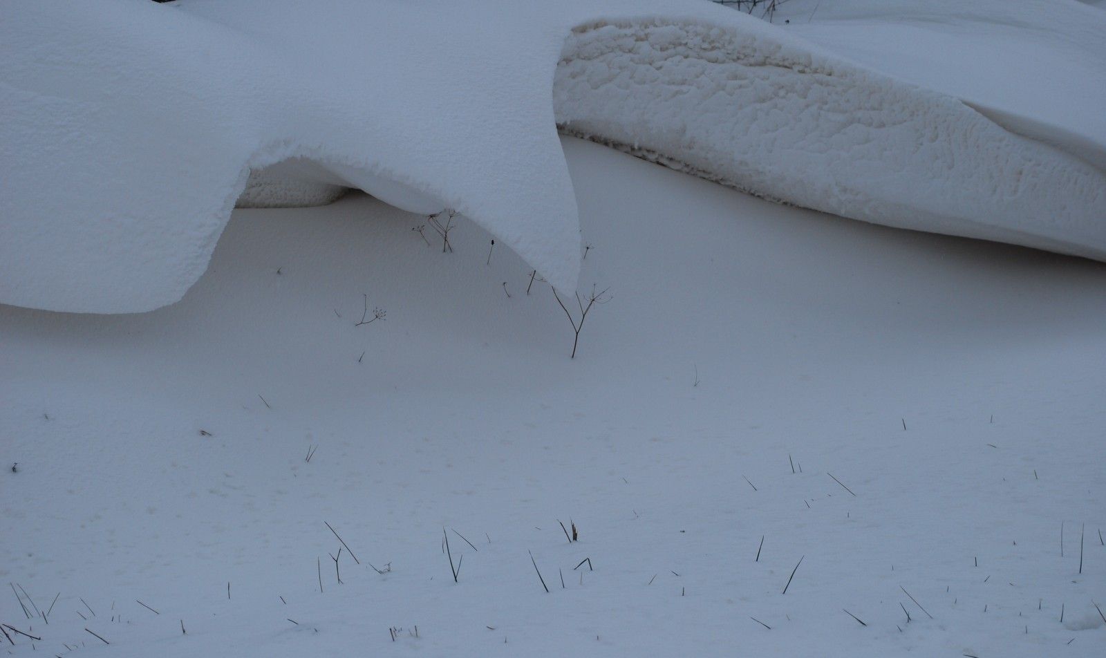 neiges3.JPG