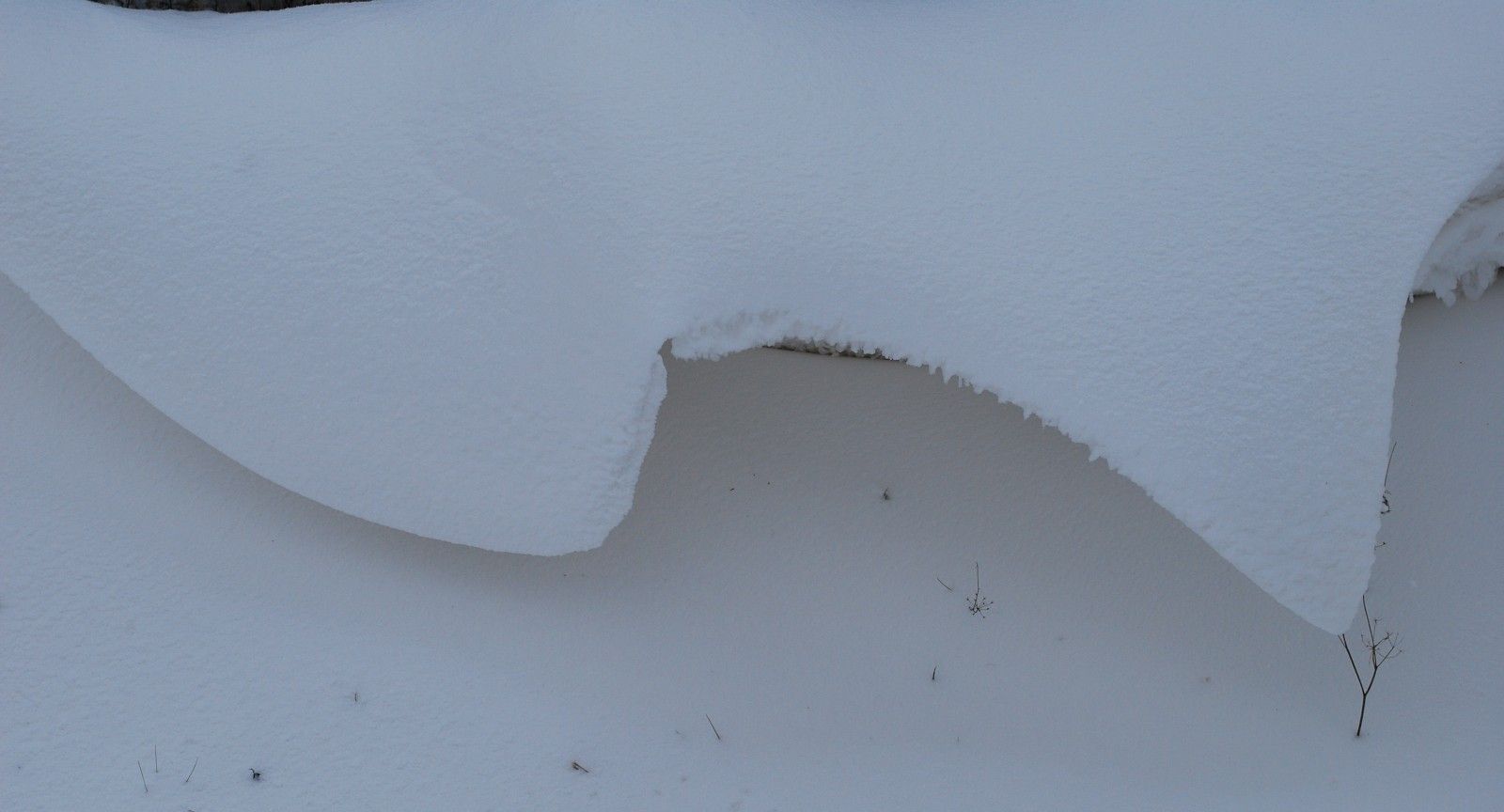neiges4.JPG