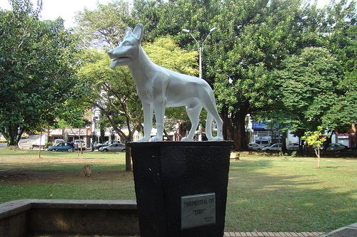 PERRO.jpg