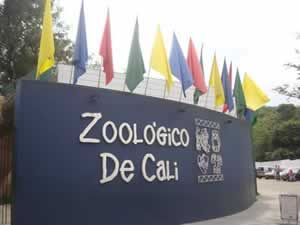 ZOOLOGICO-DE-CALI.jpg