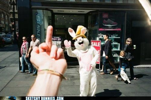 fuck-bunnies.jpg