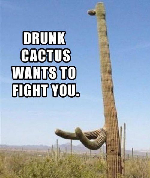 drunk-cactus.jpg