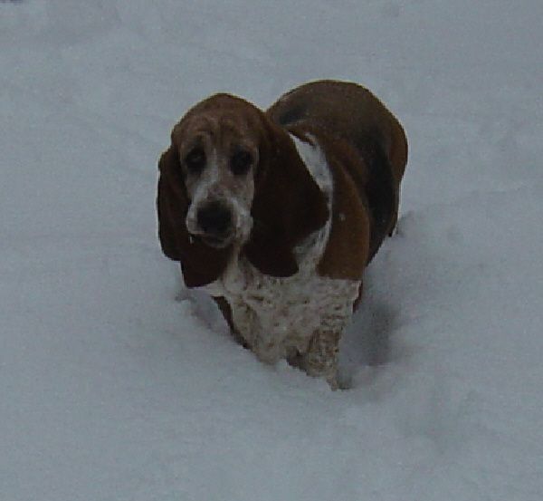 schnee 006
