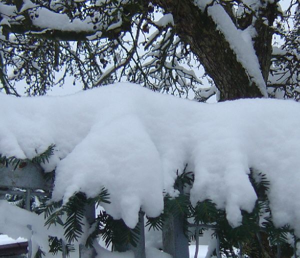 schnee 009